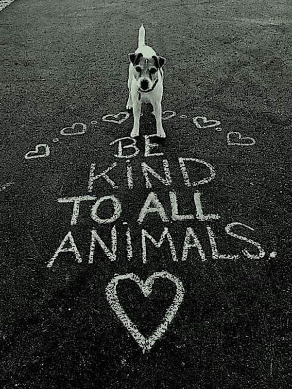 BE KIND TO ALL ANIMALS