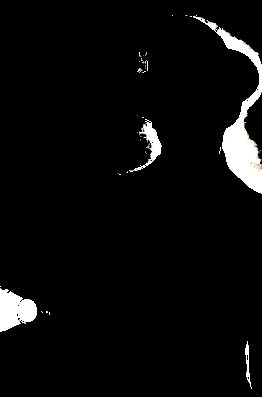 BLACKOUT FLASHLIGHTMAN