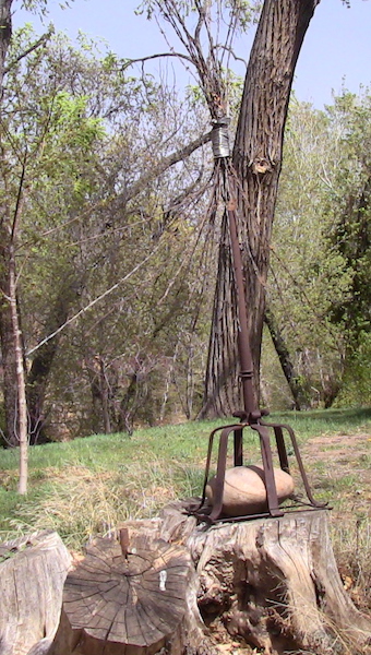 BLAIR WITCH STUMP