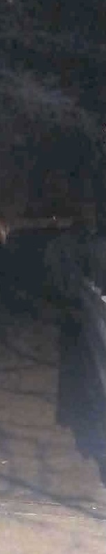 BRIDGE800DEC2025 SLIVER