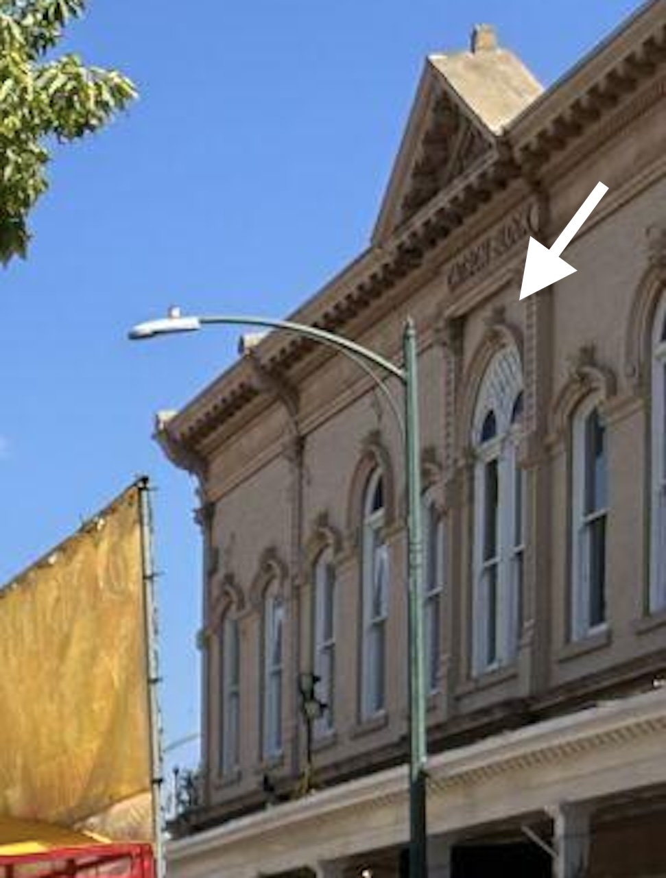 CATRONFACE-ARROW2024AUG-SEPT