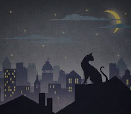 CAT MIDNIGHT