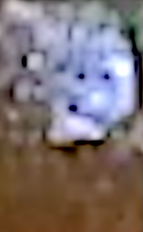 CLOSE UP SHADES OF DEATH HANNA 16JUNE2024 CLOSE UP SHADES OF DEATH HANNA 16JUNE2024