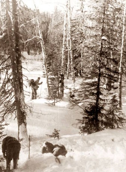 DYATLOV 2 SKIERS TREES