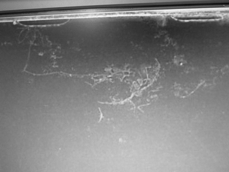 DYATLOV CAMERA 9