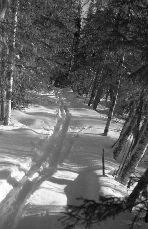 DYATLOV SKI TRAIL