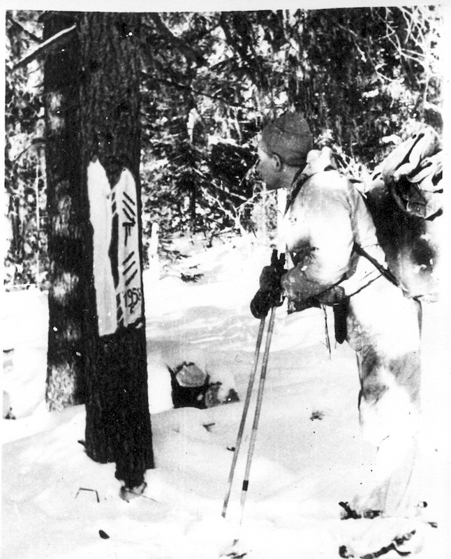 DYATLOV TREE SIGN