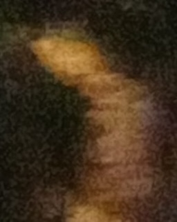 GHOST FACE 320 JULY 2024