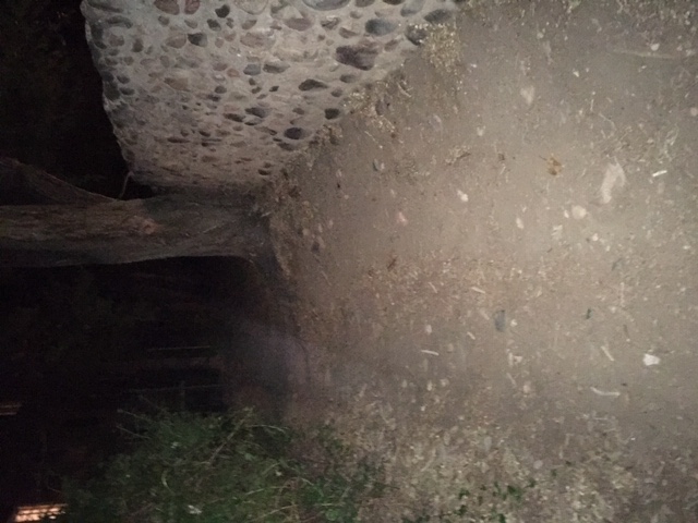 MASTER SPOOKLANE GHOST BEMAS 2022 MASTER SPOOKLANE GHOST BEMAS 2022