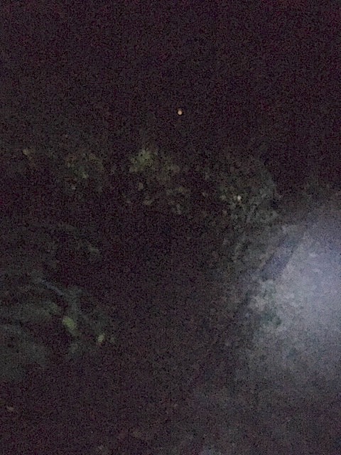 ORB2022LATE NIGHT