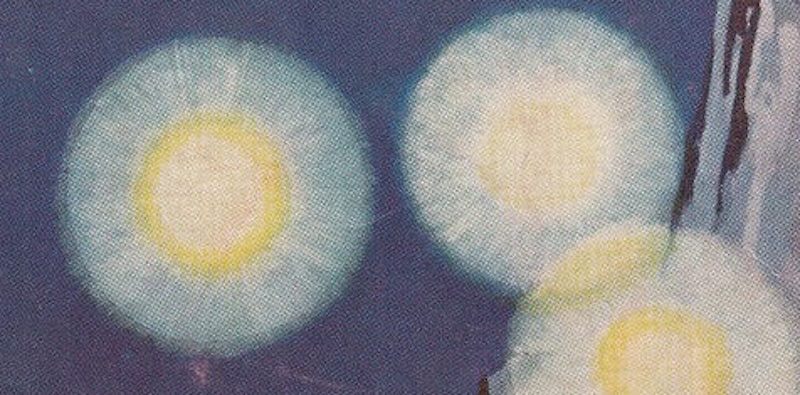 ORBS ILLUTRATION