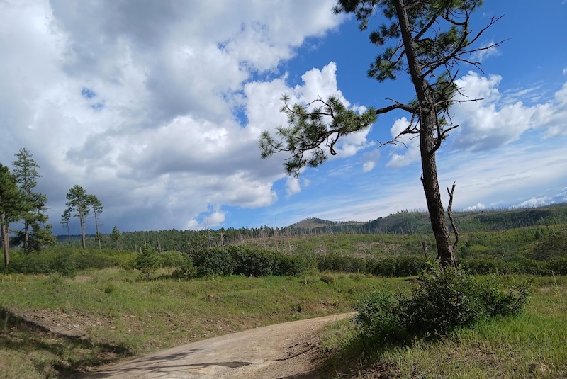 PECOS OPEN SEPT5 2025 PECOS OPEN SEPT5 2025