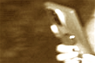 SEPIA2021FACE -CAMERA