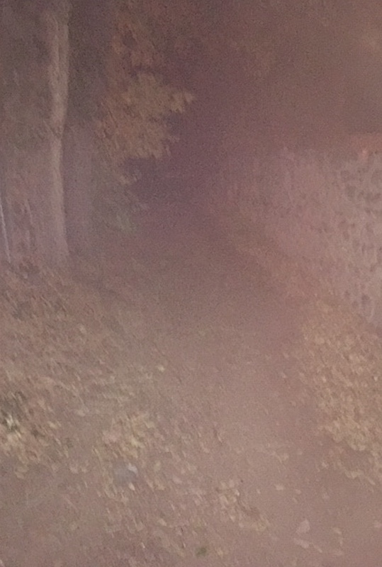SOUTHSPOOKALL2021