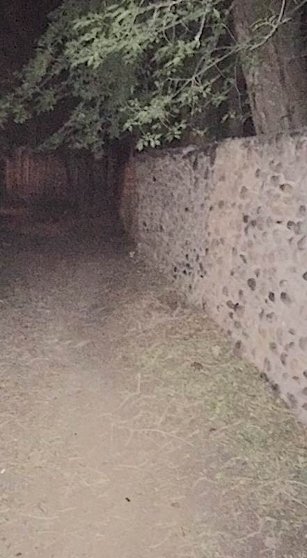 SPOOKLANE NIGHT 2021KINK