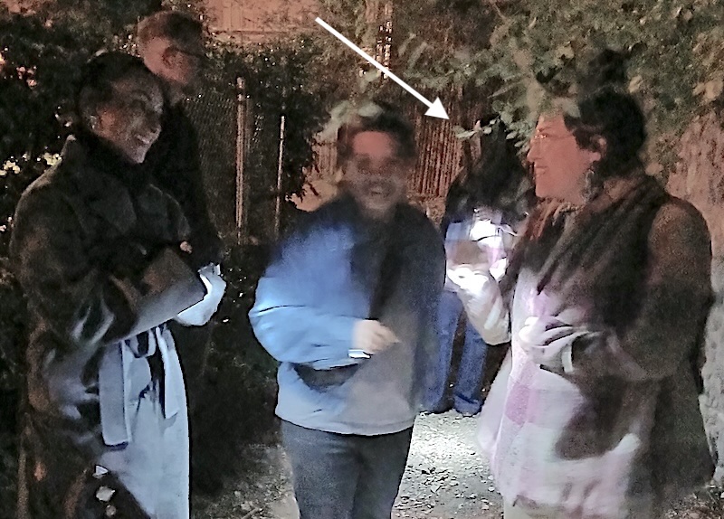 APOOKLANE ARROW 17OCT ARROW APOOKLANE ARROW 17OCT ARROW