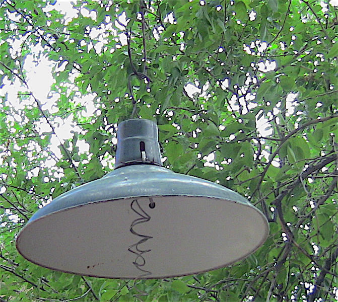 SPOOKLANE2019 LIGHT FIXTURE