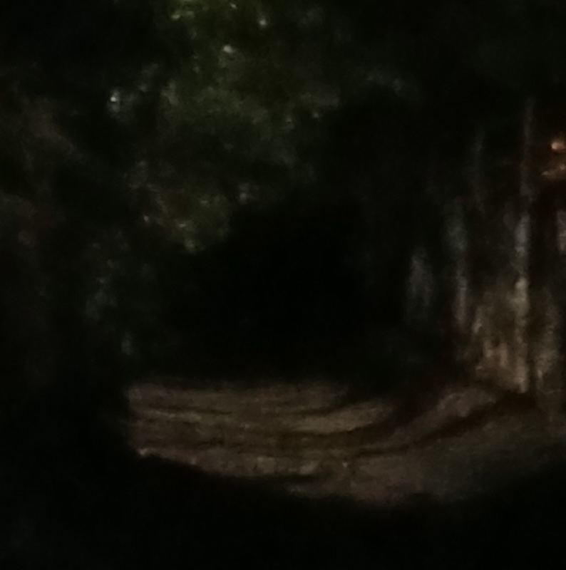 SPOOKLANE2025SEPT18