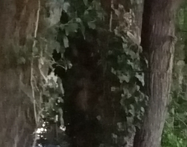 SPOOK LANE GHOSTLY FACE LARGER