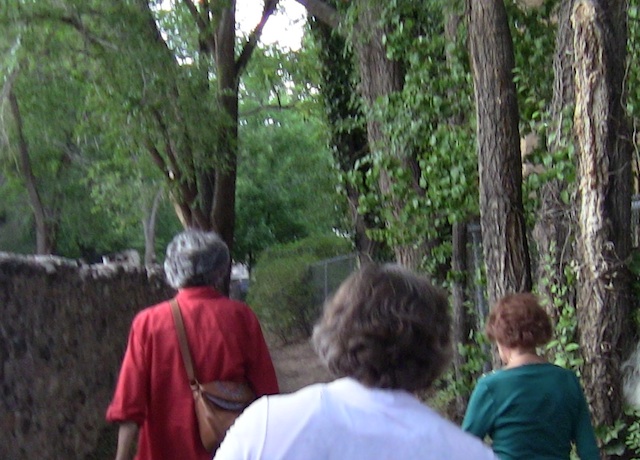 SPOOKY LANE 16JULY2016
