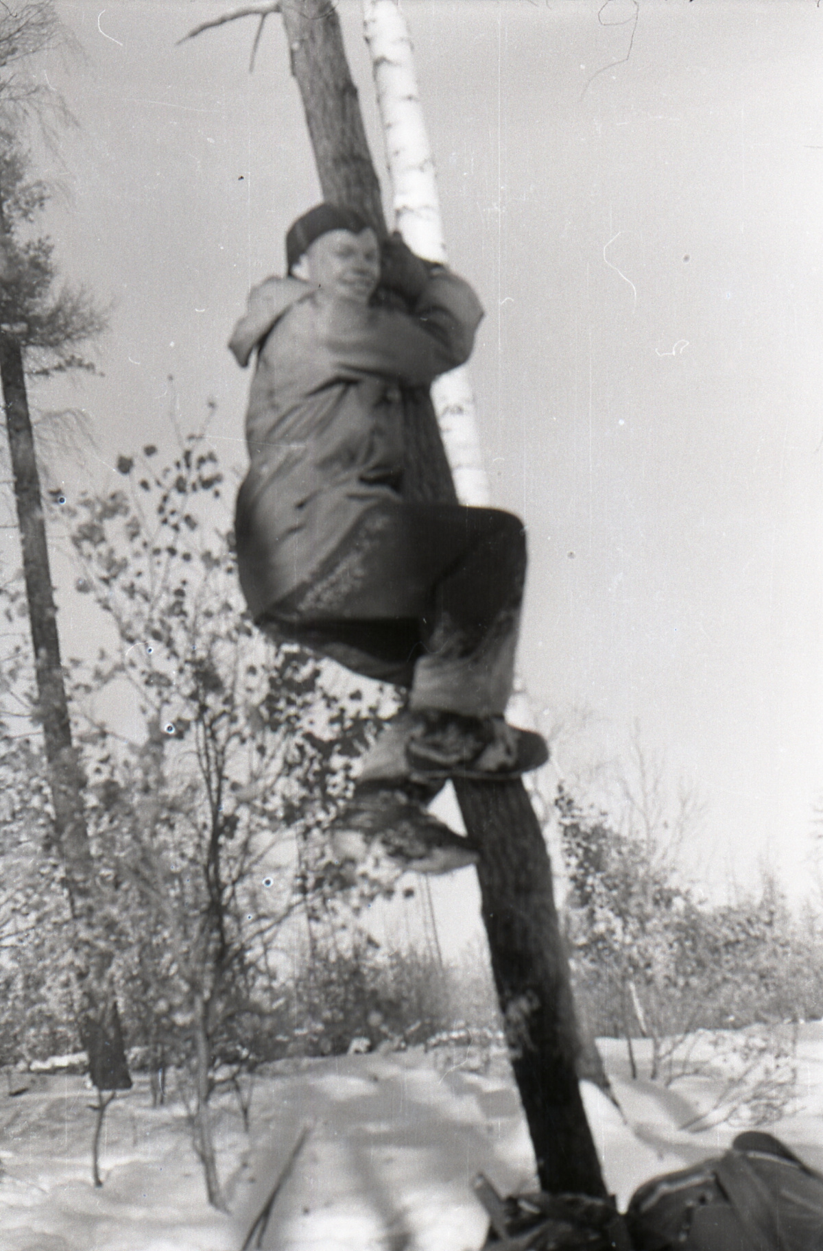 DYATLOV-MAYBE-SLOBODIN-TREE
