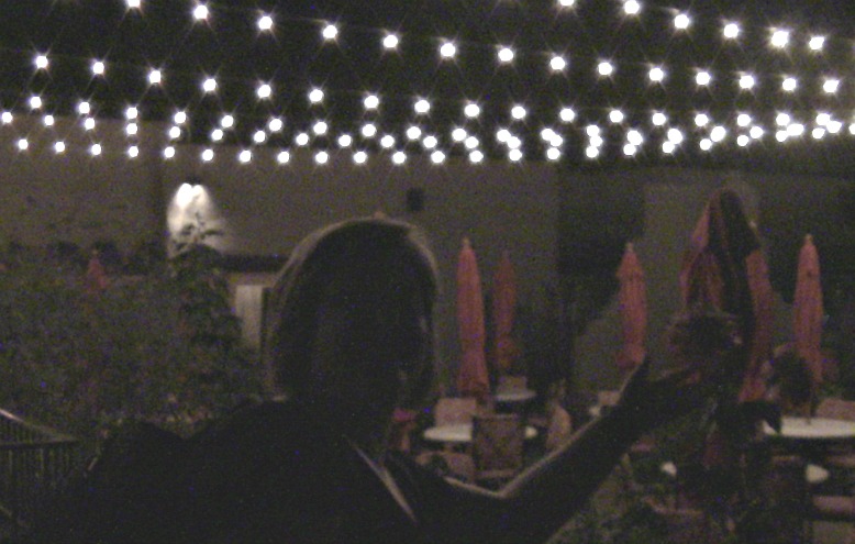 JASAE-LAPOSDA-LIGHTS 2015