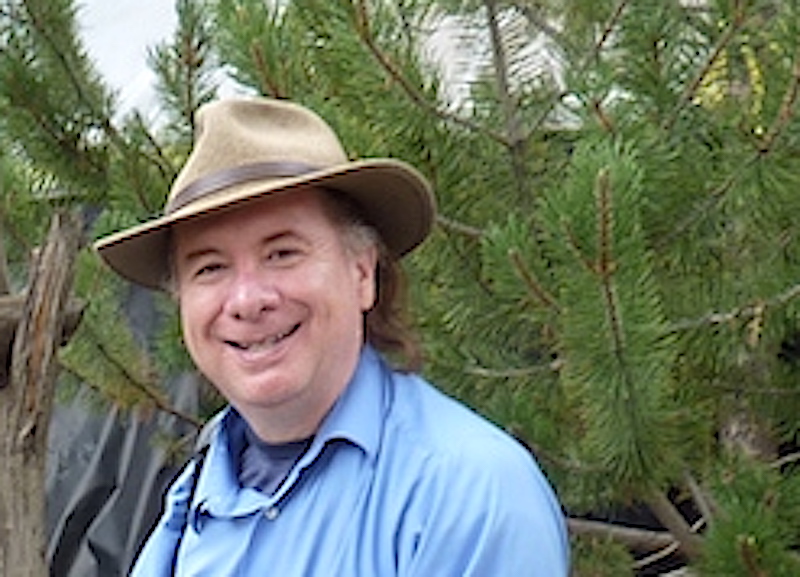 AL COURTYARD PAL GOV