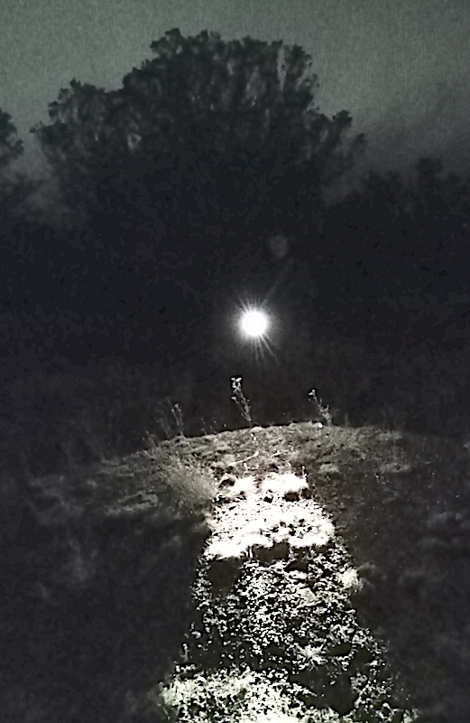 AL TURNS FLASHLIGH9MARCH2024