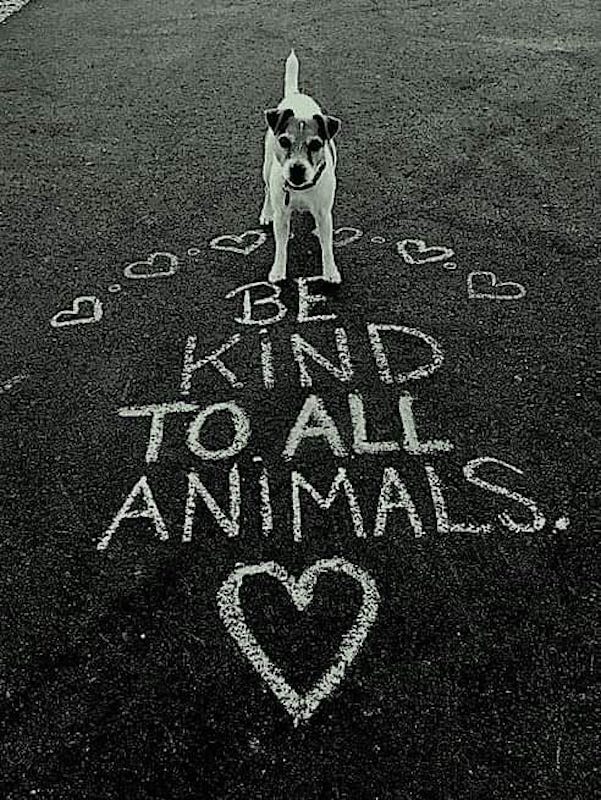 BE KIND TO ALL ANIMALS