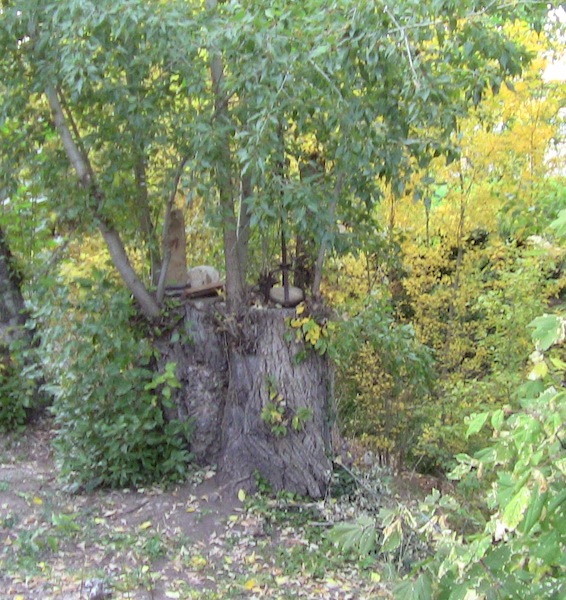blair witch offering