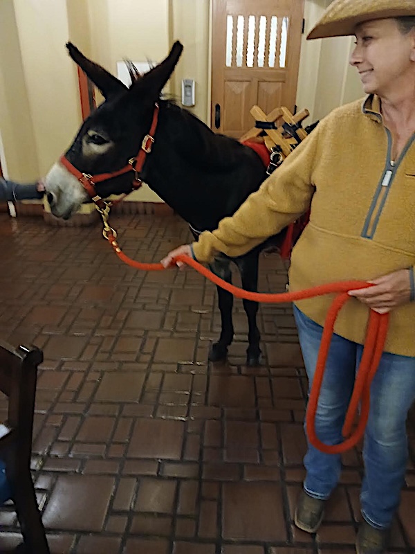 BURRO LADY 2025