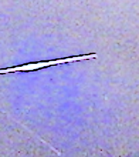 CLOSEUP2017 PURPLE DOWSING RODS OLDEST HOUSE