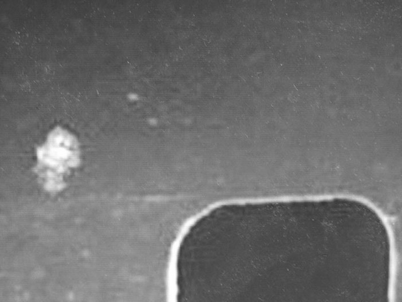 DYATLOV CAMERA6