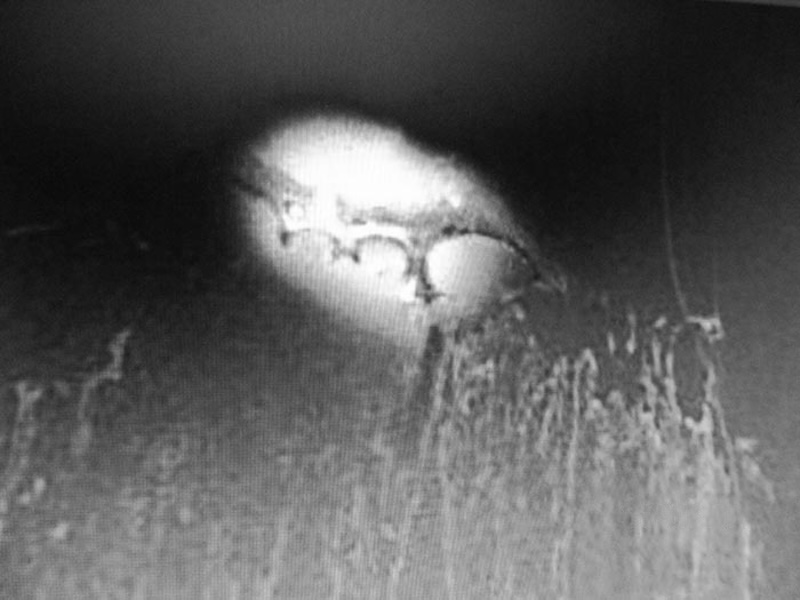 DYATLOV CAMERA 8