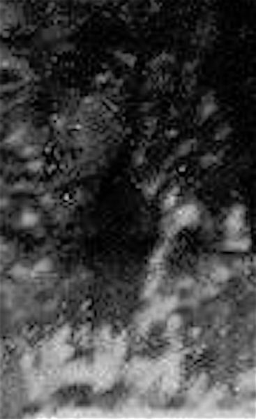 DYATLOVNP4 BLOWUP YETI SHADOW