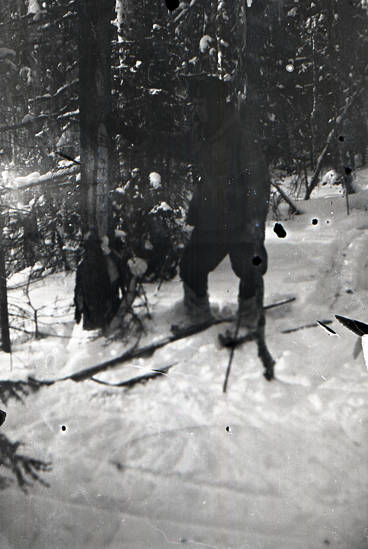 DYATLOV PERSON TREES