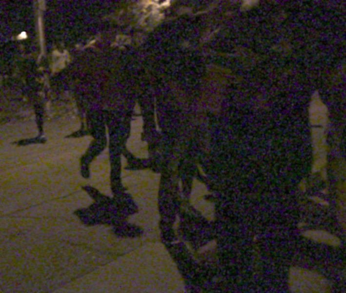 GREGORY SCHOOL WALK