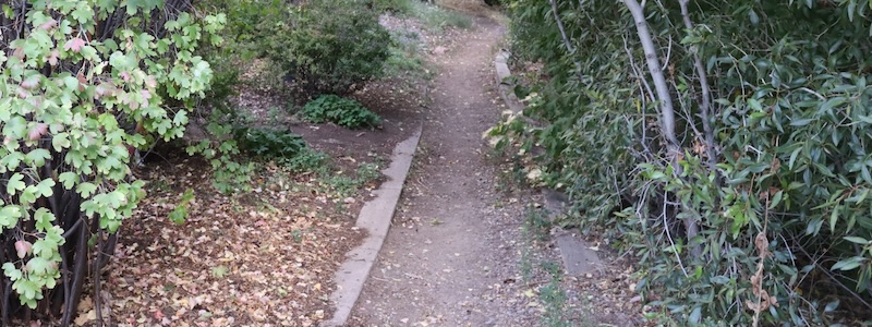 SHADES DEATH HIDDEN 2024