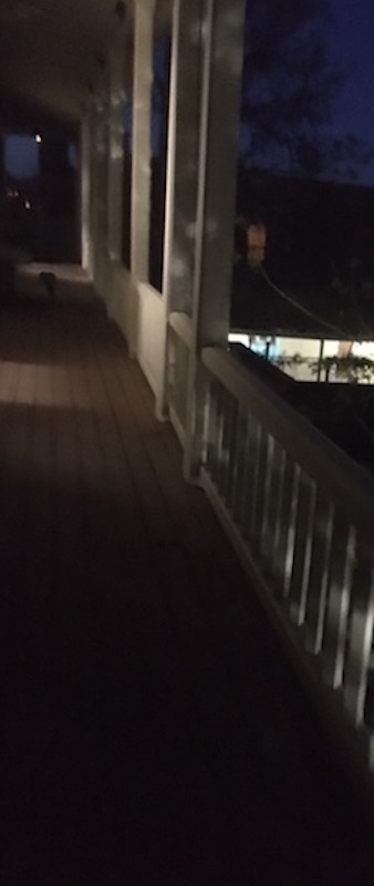 BELLTOWER-2021LONGSHOT800 BELLTOWER-2021LONGSHOT800