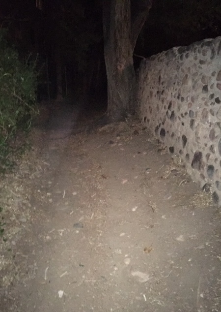 MASTER 700 SPPOOKLANE2021 0 2022