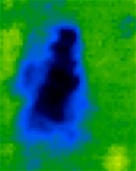 MABE PADRES THERMAL-MRDERED MABE PADRES THERMAL-MRDERED