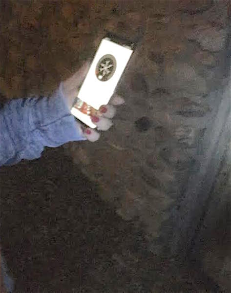 METER2021 MAY WHITEDOT