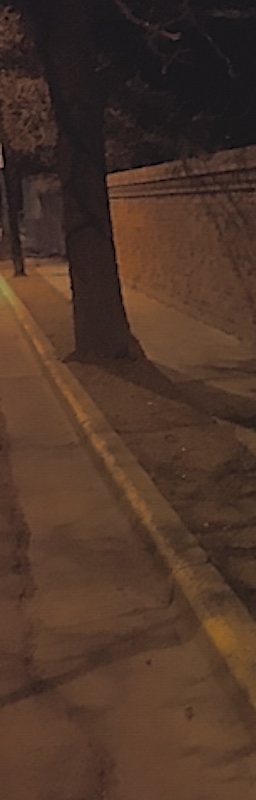 PARANORMLA LANE2022 PARANORMLA LANE2022