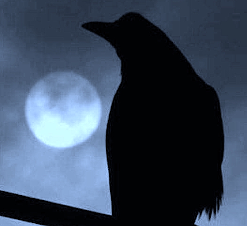 RAVEN BLUE MOON