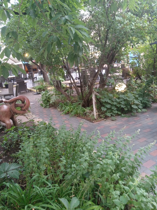 SENA PLAZA VACATN 2024 AUG 1