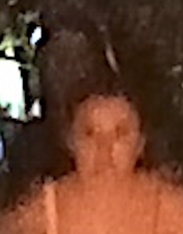 SHADES DEATH LIGHT OR SOMETHING2024 JUNE