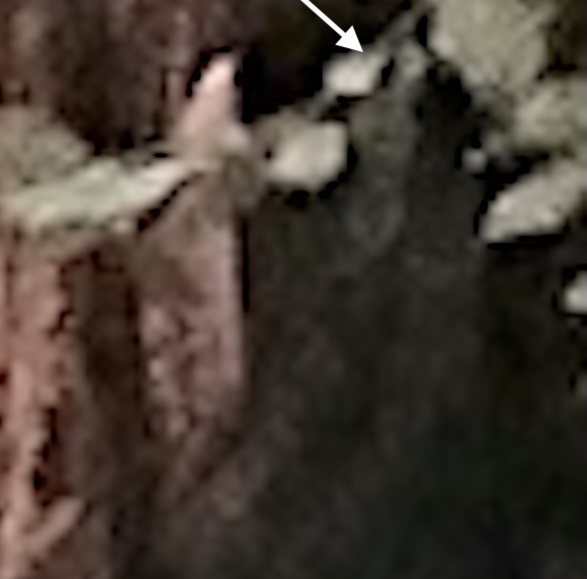 SPOOKLANE DOUBLELARGE 17OCT 2025