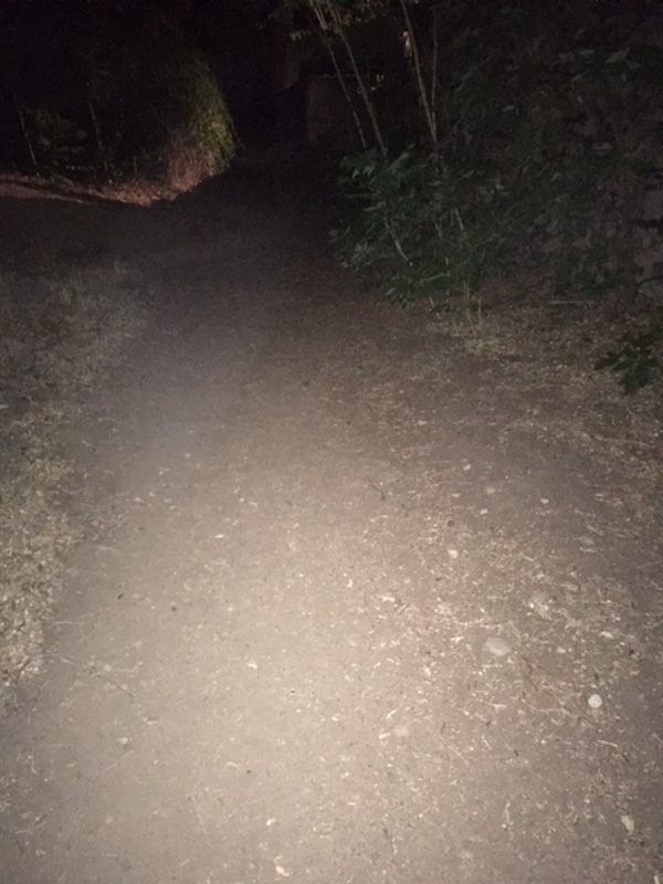 SPOOKLANE 2021 NIGHTPATH SPOOKLANE 2021 NIGHTPATH