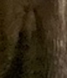 SPOOKLANE2022NOV22 FACE300