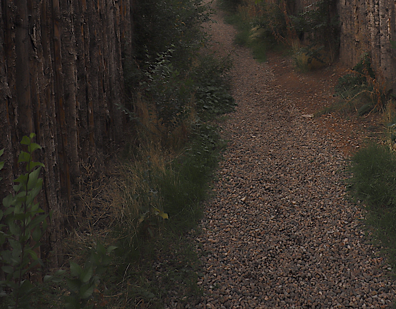 SPOOKLANE 2023 SEPT LOOKING SOUTH